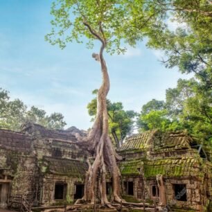 Ta Prohm